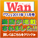 wan1111